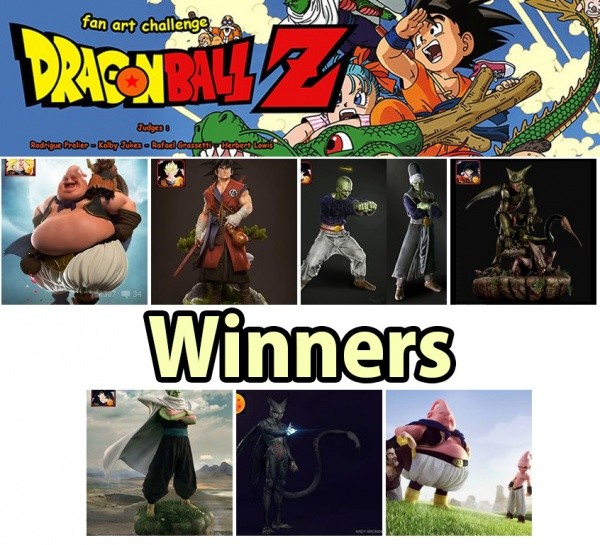DBZ Contest Winners