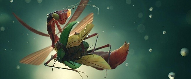 Insects - Ramtin Ahmadi