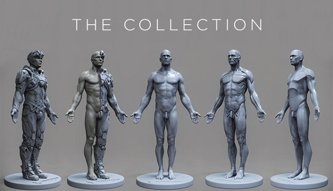 3dtotal Anatomical Collection 5 New Male Reference Figures