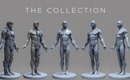 3d total Male anatomy アナトミーフィギュア [中古] 3dtotal Male Anatomy Figure アナトミーフィギュア 3dtotal