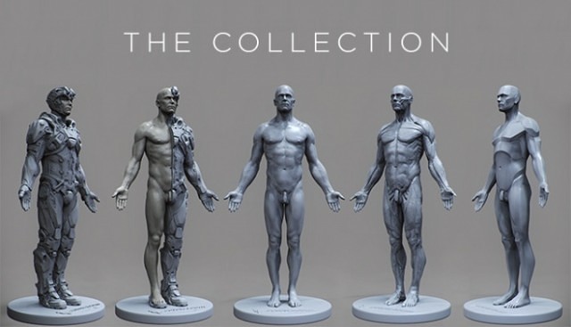 人体フィギュアシリーズ新作5体！3dtotal Anatomical Collection