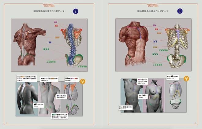 anatomy-for-sculptors-jp-1
