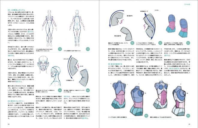 3d_anatomy_02
