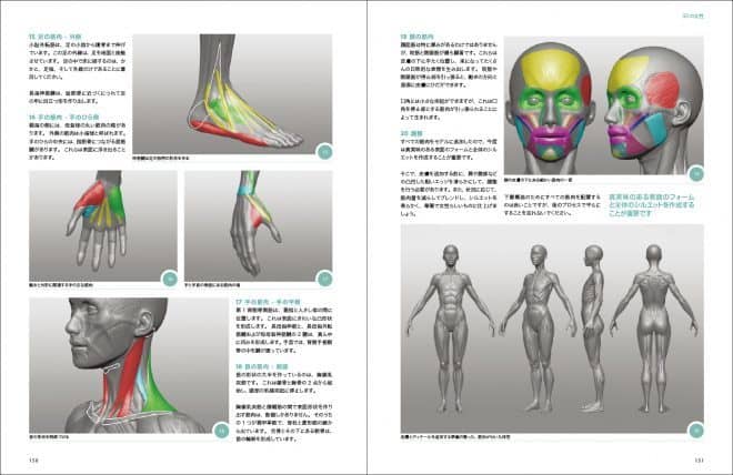 3d_anatomy_03
