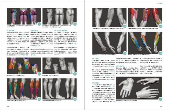 3d_anatomy_04