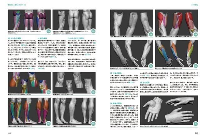 3danatomy_06