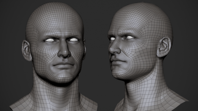 Free Basemesh By Zuka トポロジーの勉強に 女性の人体モデル 男性の頭部モデルが無料ダウンロード可能