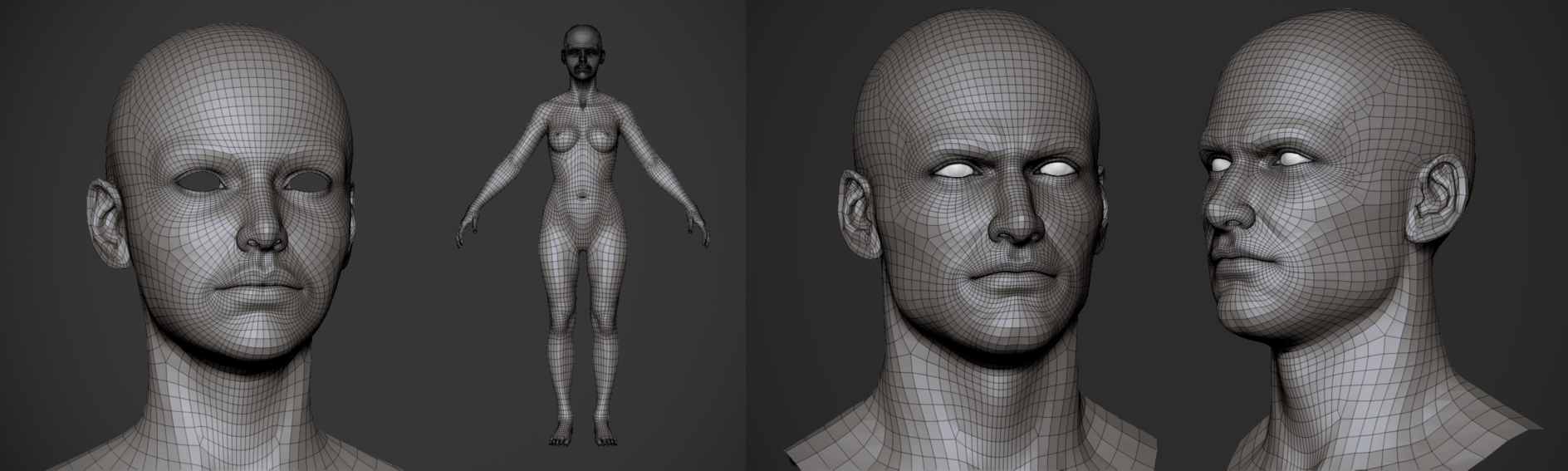 Free Basemesh By Zuka トポロジーの勉強に 女性の人体モデル 男性の頭部モデルが無料ダウンロード可能