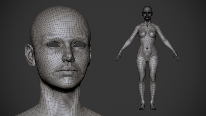 Free Basemesh By Zuka トポロジーの勉強に 女性の人体モデル 男性の頭部モデルが無料ダウンロード可能