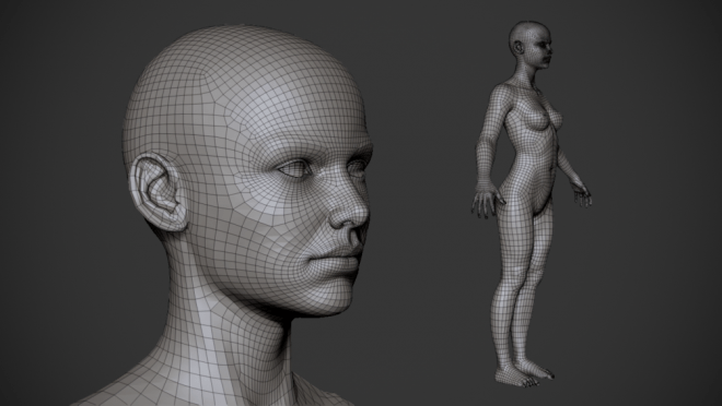 Free Basemesh By Zuka トポロジーの勉強に 女性の人体モデル 男性の頭部モデルが無料ダウンロード可能