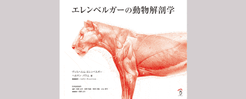 ellenberger-animal-anatomy-