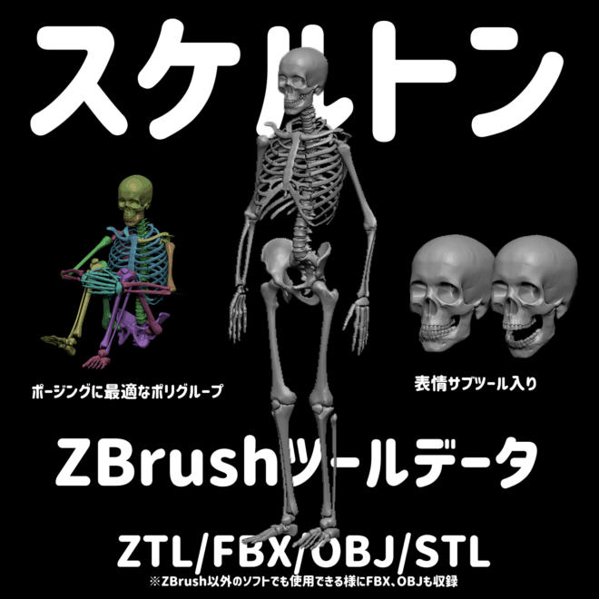 スケルトン Zbrush向け3dモデル 竹の子lab による人体骨格3dモデル 無料配布中 改変 商用ok Ztl Fbx Obj Stl