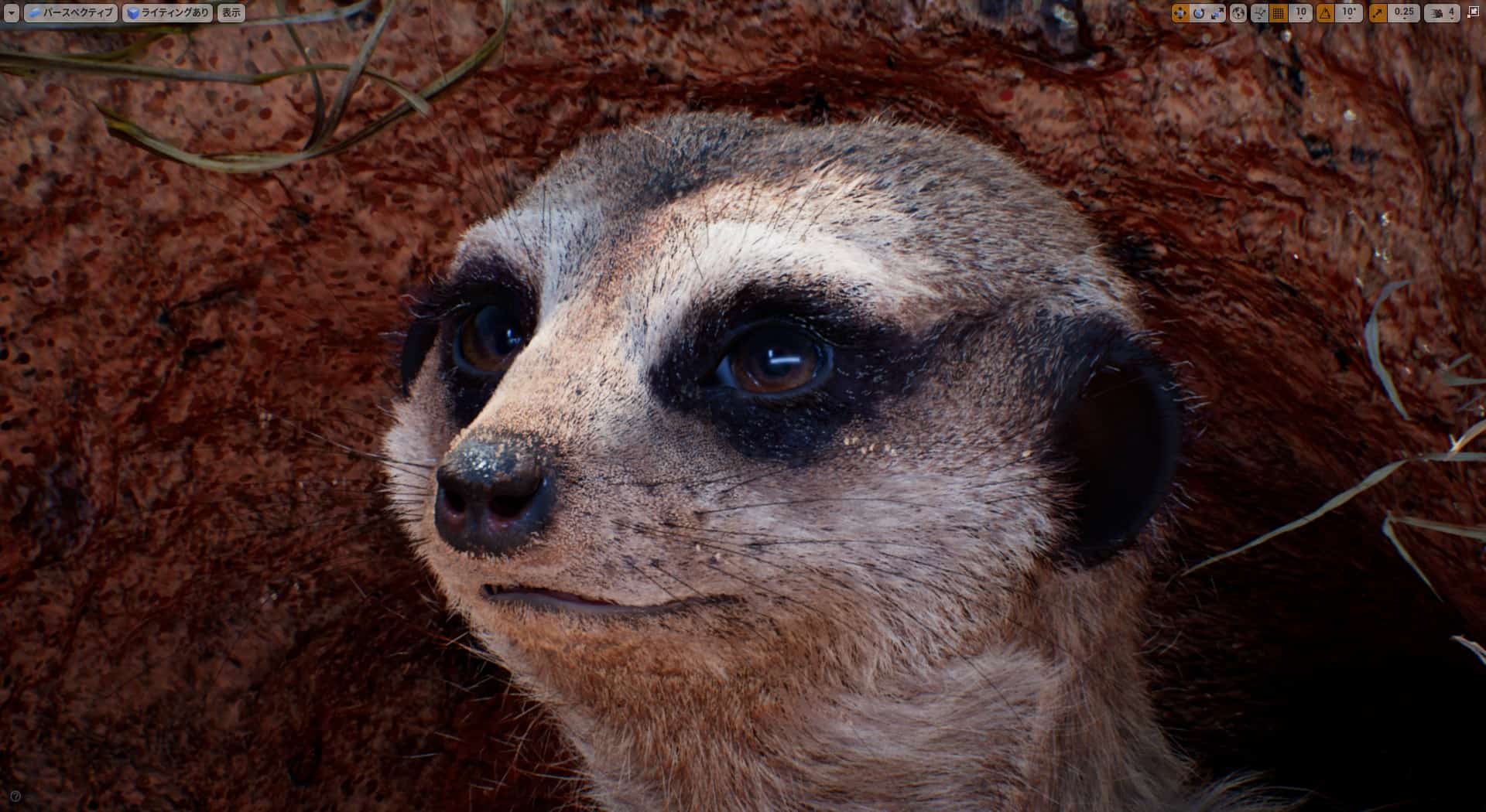 Meerkat Demo Is Free Weta Digitalとepic Gamesによるunreal Engine 4採用のミーアキャット デモ プロジェクトファイルが無償公開