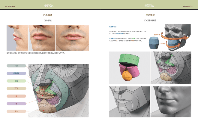 スカルプターのための美術解剖学 頭頸部編 - Form of the Head and